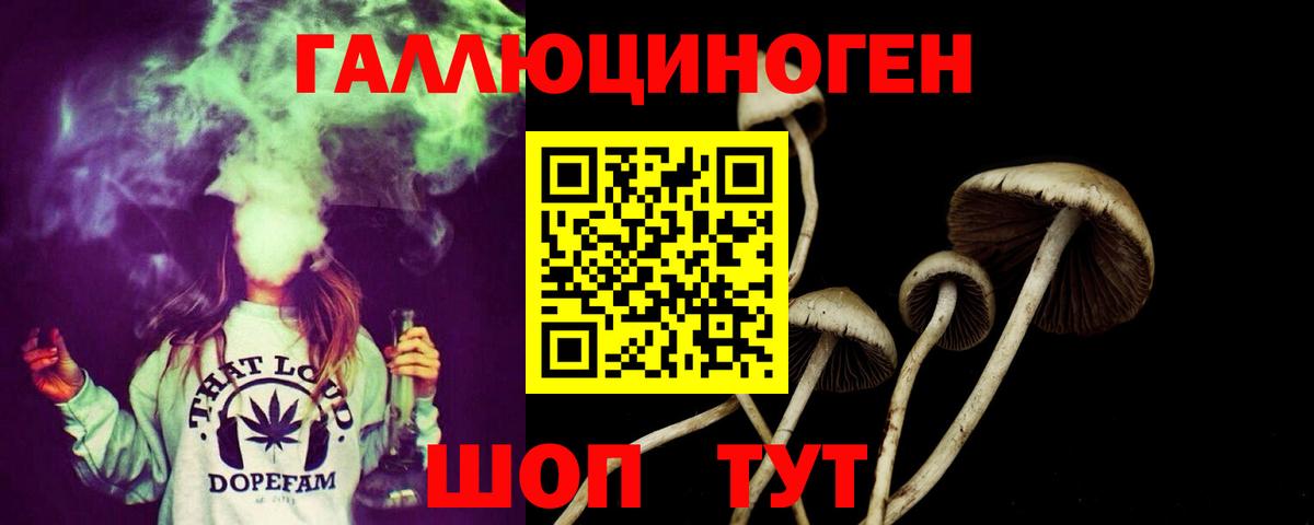где можно купить   Псилоцибиновые грибы ЛСД  Вход с VPN  Ревда 
